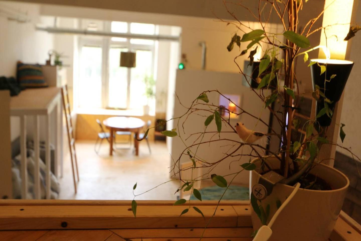 Einzigartiges 140qm Loft - Party Ist Erlaubt! Apartment *